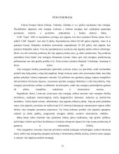 Atsinaujinantys ištekliai 13 puslapis