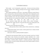 Atsinaujinantys ištekliai 19 puslapis