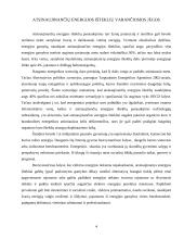 Atsinaujinantys ištekliai 4 puslapis