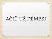 Ievos Simonaitytės asmenybė ir kūryba 17 puslapis