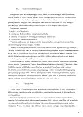 Atsinaujinatys energijos šaltiniai. Energetikos tinklai 5 puslapis