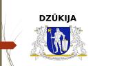 Etnografinis regionas - Dzūkija (Dainava)