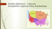 Etnografinis regionas - Dzūkija (Dainava) 2 puslapis