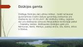 Etnografinis regionas - Dzūkija (Dainava) 4 puslapis