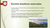 Etnografinis regionas - Dzūkija (Dainava) 8 puslapis