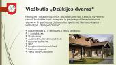 Etnografinis regionas - Dzūkija (Dainava) 9 puslapis
