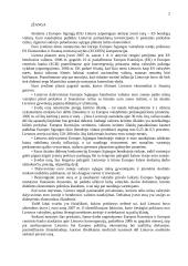 Atsisakymas priimti Lietuvą į eurozoną 2007 metais 2 puslapis