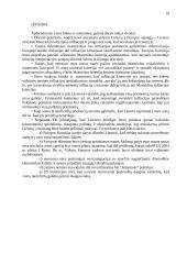 Atsisakymas priimti Lietuvą į eurozoną 2007 metais 19 puslapis