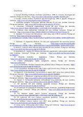 Atsisakymas priimti Lietuvą į eurozoną 2007 metais 20 puslapis