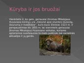 Mikalojus Husovianas 4 puslapis