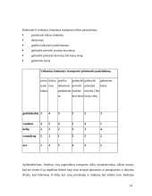 Atskirų transporto rūšių privalumai ir trūkumai 14 puslapis