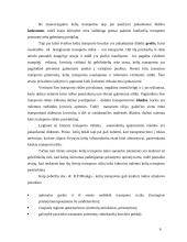 Atskirų transporto rūšių privalumai ir trūkumai 6 puslapis