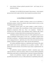 Atskirų transporto rūšių privalumai ir trūkumai 7 puslapis