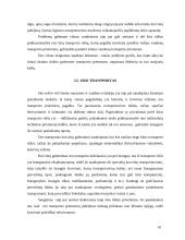 Atskirų transporto rūšių privalumai ir trūkumai 10 puslapis