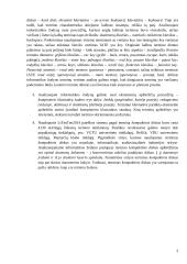 Informatikos žodyno analizė 2 puslapis