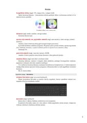 Informatikos žodyno analizė 3 puslapis