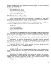 Atspaudinės medžiagos 12 puslapis