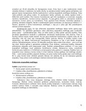 Atspaudinės medžiagos 16 puslapis