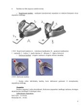 Atspaudinės medžiagos 4 puslapis