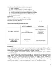 Atspaudinės medžiagos 6 puslapis