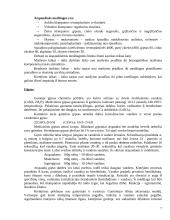 Atspaudinės medžiagos 7 puslapis