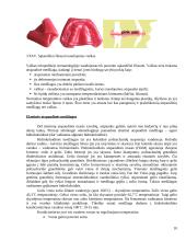 Atspaudinės medžiagos 10 puslapis