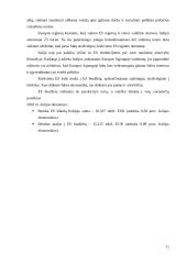 Italijos ekonomika ir ekonominiai rodikliai 11 puslapis