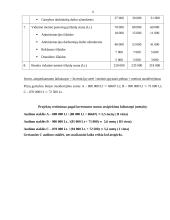 Audimo staklių įsigijimo investicinio projekto vertinimas: UAB "Audimas" 11 puslapis