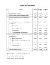 Audimo staklių įsigijimo investicinio projekto vertinimas: UAB "Audimas" 8 puslapis