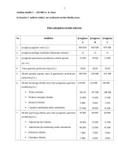 Audimo staklių įsigijimo investicinio projekto vertinimas: UAB "Audimas" 9 puslapis