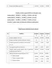 Audimo staklių įsigijimo investicinio projekto vertinimas: UAB "Audimas" 10 puslapis