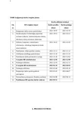 Paviršių glaistymas ir dažymas 6 puslapis