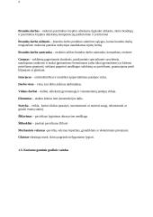 Paviršių glaistymas ir dažymas 8 puslapis