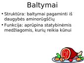 Mityba ir "madingos" dietos 11 puslapis