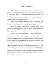 Augmenija, jos nykimo priežastys. Miškai Lietuvoje, jų apsauga 13 puslapis