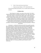 Auksas ir sidabras. Aukso ir sidabro panaudojimas 8 puslapis