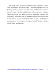 Lyderystės samprata XVI a. ir XX a. istorinėje lietuvių literatūroje 19 puslapis