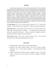Lyderystės samprata XVI a. ir XX a. istorinėje lietuvių literatūroje 3 puslapis