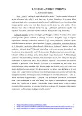 Lyderystės samprata XVI a. ir XX a. istorinėje lietuvių literatūroje 4 puslapis