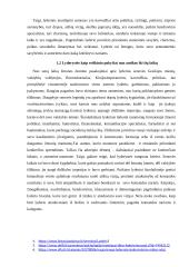 Lyderystės samprata XVI a. ir XX a. istorinėje lietuvių literatūroje 5 puslapis