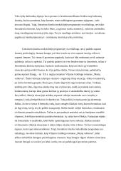 Ar reikalinga literatūros klasika mokyklinėje programoje? 2 puslapis