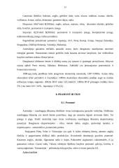 Australijos valstybė 11 puslapis