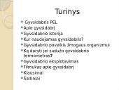 Gyvsidabrio istorija, naudojimas, poveikis bei eksploatavimas 2 puslapis