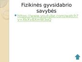Gyvsidabrio istorija, naudojimas, poveikis bei eksploatavimas 12 puslapis