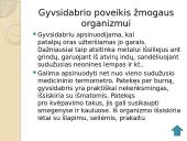 Gyvsidabrio istorija, naudojimas, poveikis bei eksploatavimas 9 puslapis