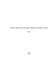 Aušros Vartų Švč. Mergelės Marijos paveikslo šviesa