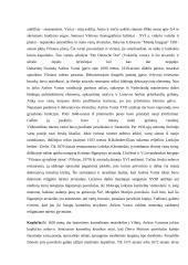 Aušros Vartų Švč. Mergelės Marijos paveikslo šviesa 4 puslapis