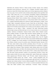 Aušros Vartų Švč. Mergelės Marijos paveikslo šviesa 6 puslapis