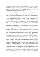 Aušros Vartų Švč. Mergelės Marijos paveikslo šviesa 9 puslapis