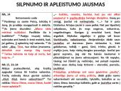 Krikščioniškasis Vaižganto apysakos „Dėdės ir dėdienės“ diskursas 11 puslapis